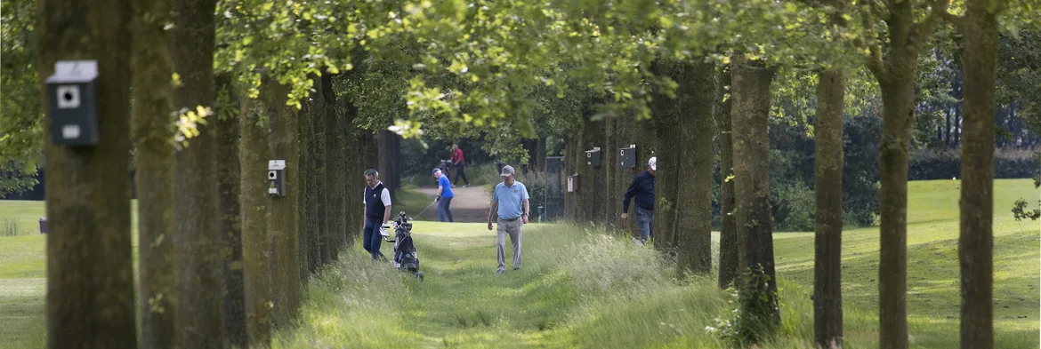 mannen zoeken een bal tussen de fairways van hole 9 en hole 18