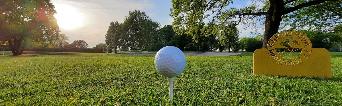 opgeteede golfbal met laag uitzicht over de fairway op partnerbaan