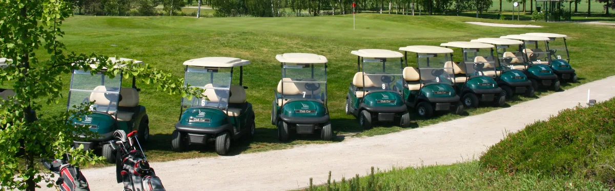 Meerdere buggies op een rij